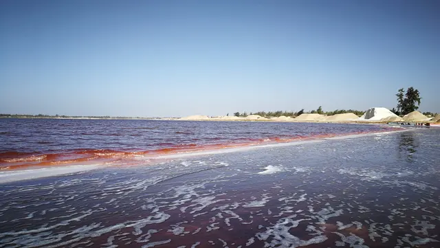 Rosa Salzsee im Senegal mit Salzhaufen am Ufer.