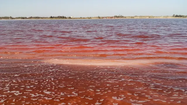 Der Rosa See im Senegal.