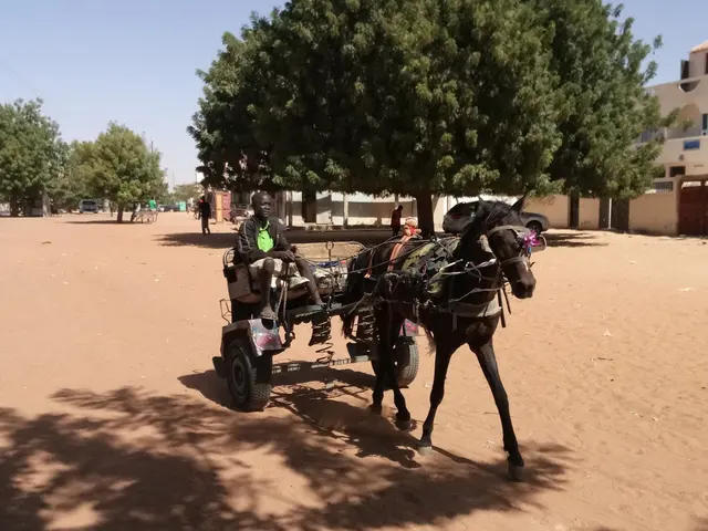 Ein Mann auf einem Pferdefuhrwerk auf einer staubigen Straße im Senegal.