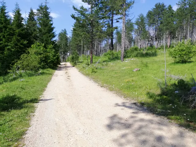 Černá Hora – fotka 2