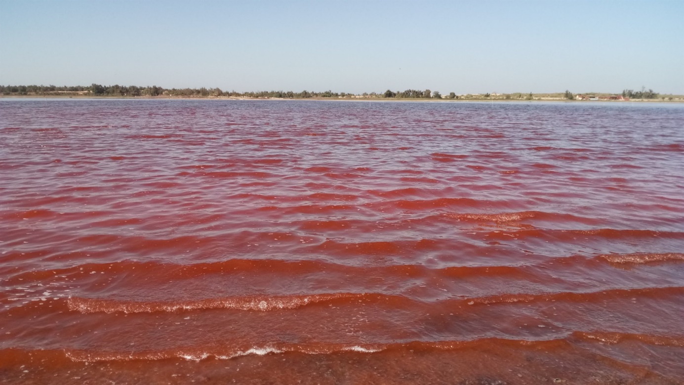 Růžovočervená hladina jezera Lac Rose