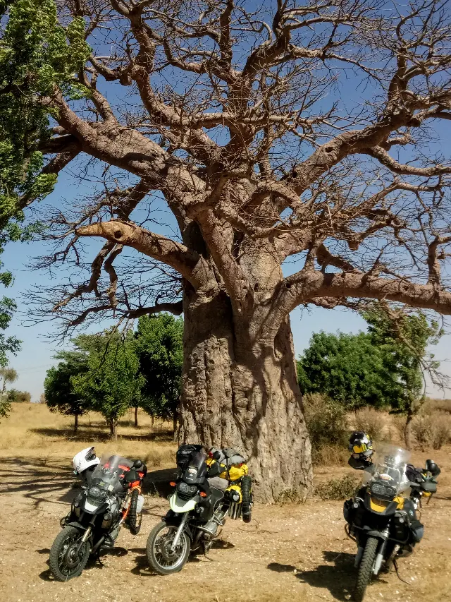 Senegal – fotka 4