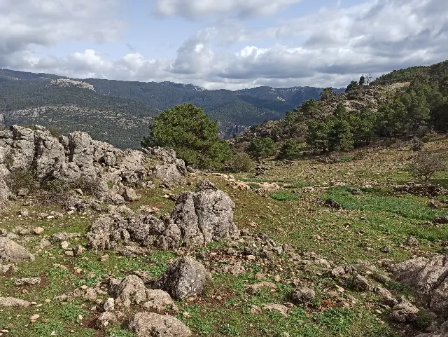 Spain – photo 8